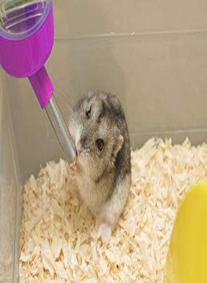 KittuPet Leak Proof Cage Attachment Water Bottle Cum Feeder for Hamster/Guinea Pig/Rabbit/Puppy/Cat/Kitten/Dwarf/Gerbil/Mice/Ferret, 250 ml (Red) - Image 4